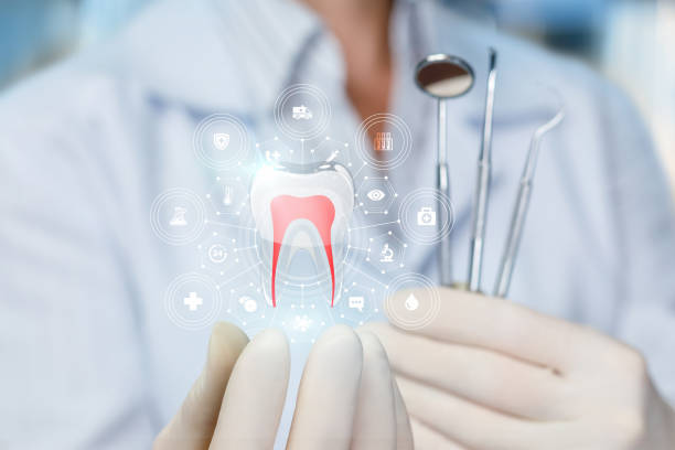 Why Choose Us for Your Dental Needs in Marco Island, FL